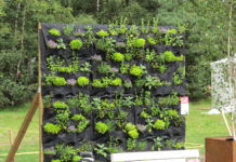 Verticaal tuinieren, hoe doe je dat? verticaal tuinieren