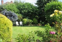 Hoe zorg je voor een onderhoudsvrije tuin? onderhoudsvrije tuin